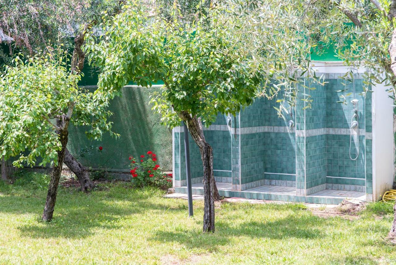 Villa Fili D'Erba Cilento à Villammare Extérieur photo
